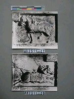 藏品(昭陵六駿之五)的圖片